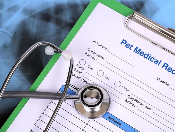pet health records