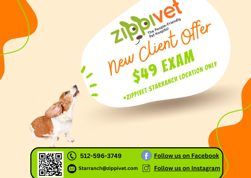 Carousel Slide 1: $49 Exam Fee for new clients!