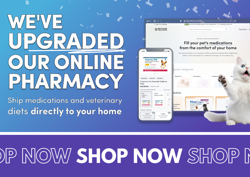 Carousel Slide 1: Browse our new and improved online pharmacy!